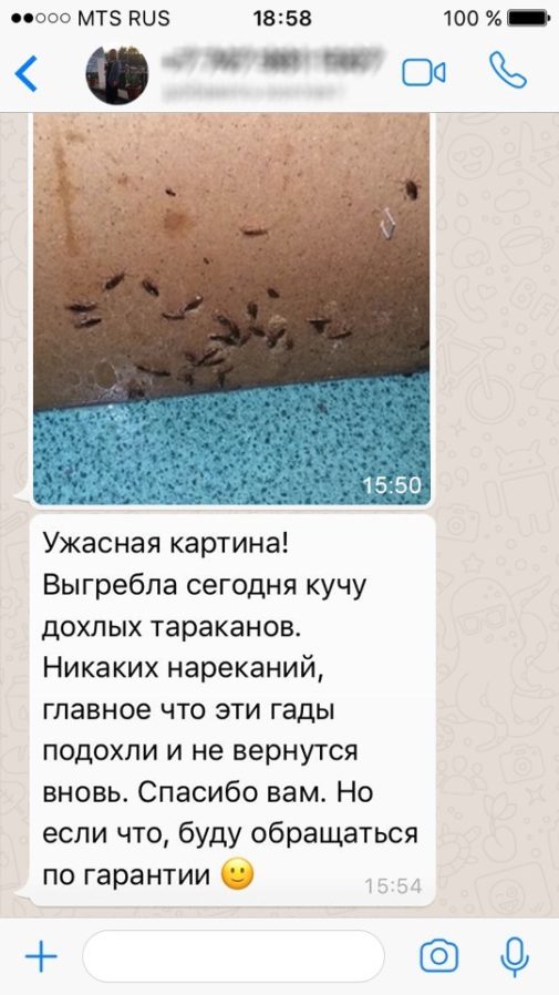 Отзыв по уничтожению тараканов